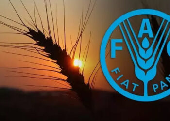 Türkiye, FAO Konseyi üyeliğine seçildi