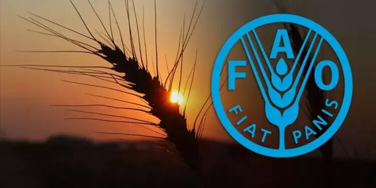 Türkiye, FAO Konseyi üyeliğine seçildi
