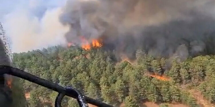 Uşak'ta çıkan orman yangınında 30 hektar orman zarar gördü