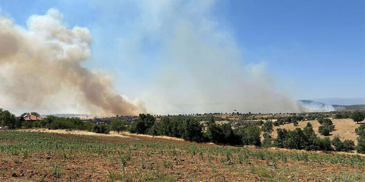 Uşak'ta meşelik yangını 16 saat sonra kontrol altında