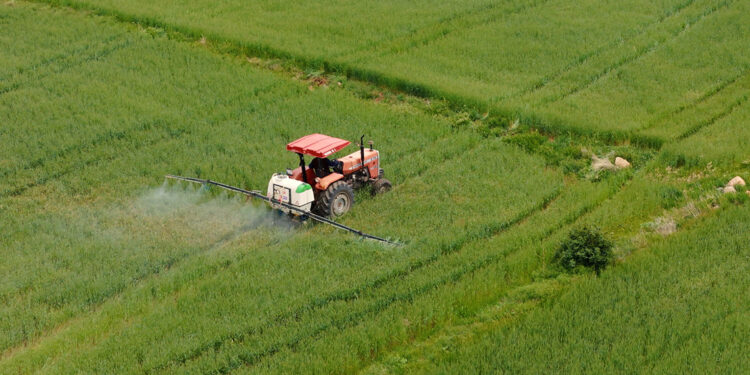 Ülker ve Sabancı Üniversitesi'nden buğday için iş birliği