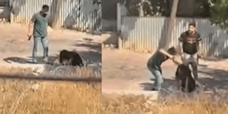 Ümraniye'de sokak ortasında kafasına silah dayadığı kadını darbetti