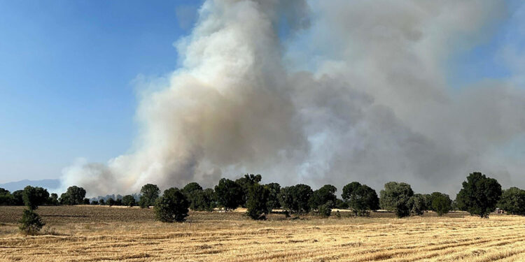 Uşak'ta tarlada çıkıp ormana sıçrayan yangın 11 saatte kontrol altına alındı