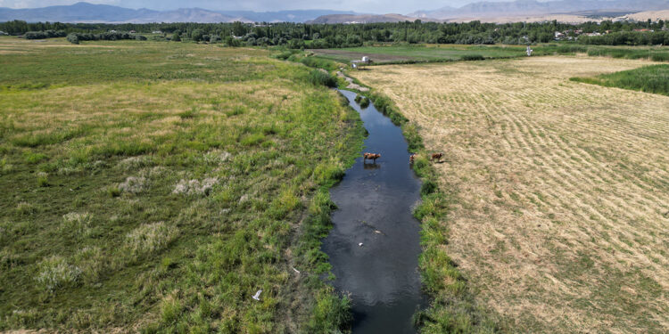 Van Gölü'ndeki çekilme sonucu iki mahalle arası mesafe düştü