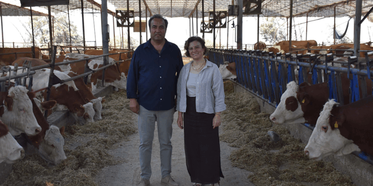 Veteriner çift, çiftlikteki buzağılarına tanıdıklarının ismini veriyor