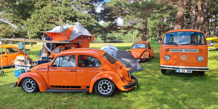 Vosvos Şenliği, renkli görüntülerle sona erdi