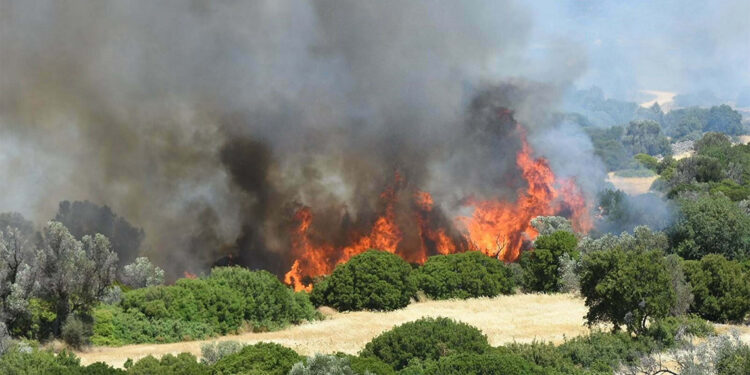 Balya makinesinden sıçrayan kıvılcımlar, 100 dönüm araziyi kül etti