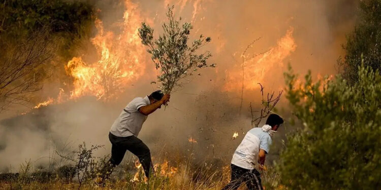 Yangınlarda solunan hava sağlığı da etkiliyor