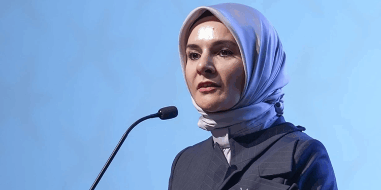 Yangınlardan etkilenen hanelere 10 milyon lira kaynak aktarıldı