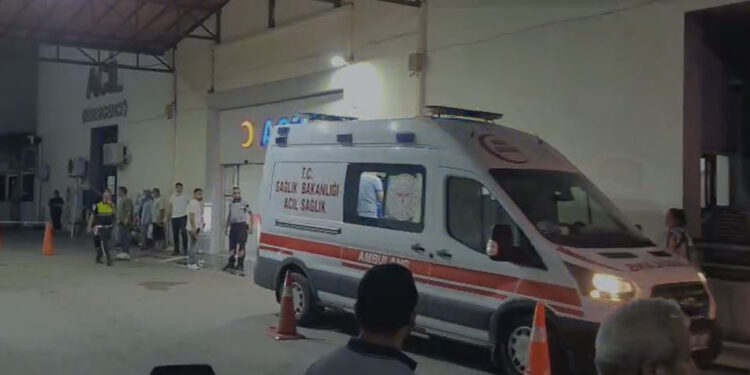 Yüksek ateş şikayetiyle tedaviye alınan 2 asker şehit oldu