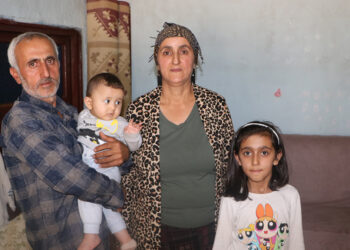Yüksekova'da tek katlı kerpiç evde yılan kabusu