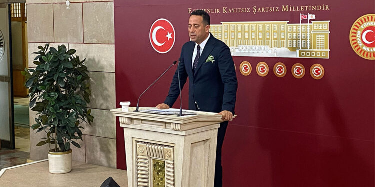 Zeytin ağaçlarının yerini değiştirmeyin