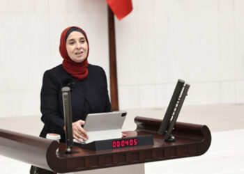 Sayıştay denetiminden çıkarılan kaynak, ayrıcalığın hesabına aktarılır