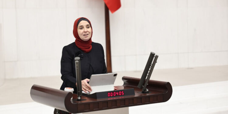 Sayıştay denetiminden çıkarılan kaynak, ayrıcalığın hesabına aktarılır