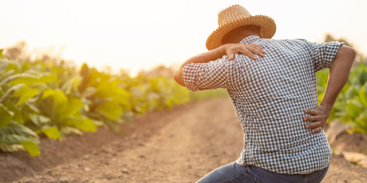 Yaz mevsimiyle birlikte artan fiziksel işlere dikkat!