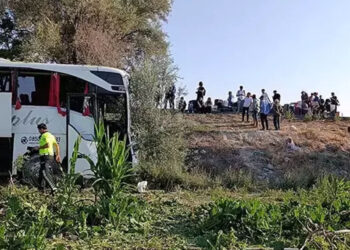 Konya'da yolcu otobüsü şarampole inip ağaçlara çarptı