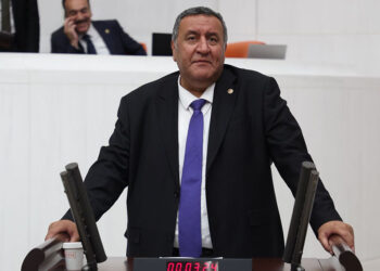 Kömür bizim karnımızı doyurmayacak; Zeytinliklere kıymayın