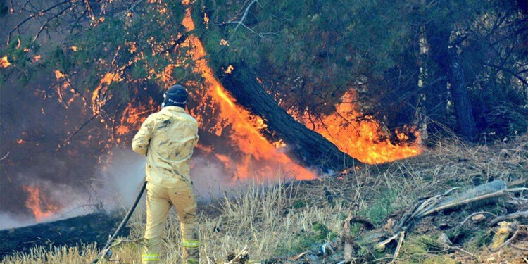 OGM'den yangın uyarısı; 3 gün ciddi rüzgar var dikkatli olmalıyız