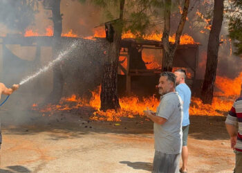 Yangınlarda 407 konut etkilendi