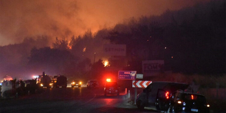 Buca'daki orman yangınının nedeni belli oldu