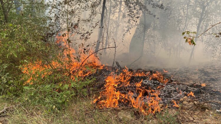 Bursa'da yangınla mücadele devam ediyor