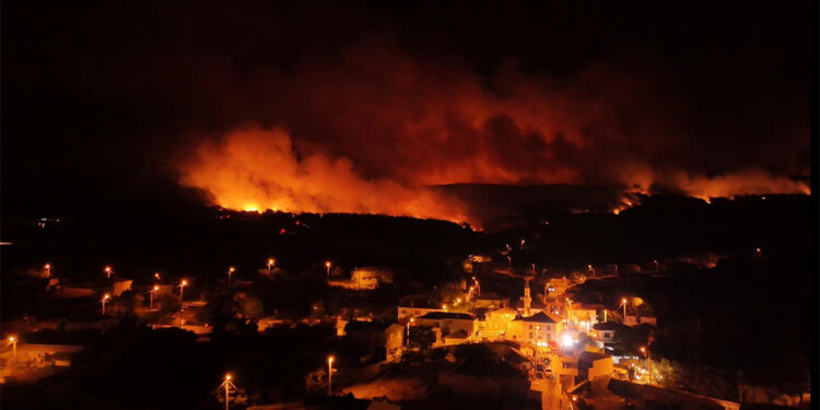 Tekirdağ'da çıkan orman yangını Çanakkale sınırına geçti