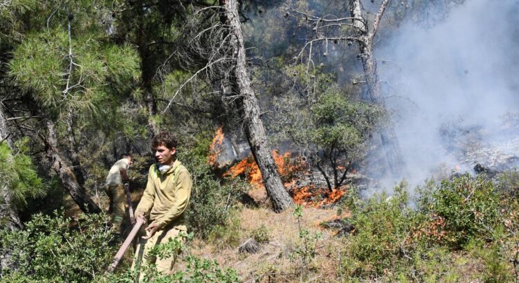 Çanakkale'nin Ezine ilçesinde orman yangını; çok sayıda ekip sevk edildi!