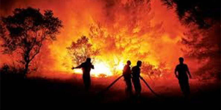 Uçaktan atılan su sadece yangını geciktirir, esas mücadele yerde yapılır