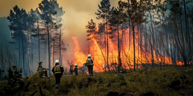 Urla'daki orman yangını sürüyor; Aliağa'da ot yangını kontrol altında