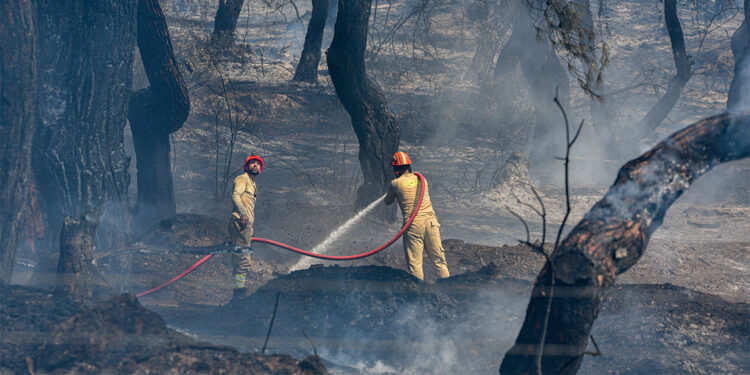 İstanbul Valiliği'nden yangınlarla ilgili yeni önlem