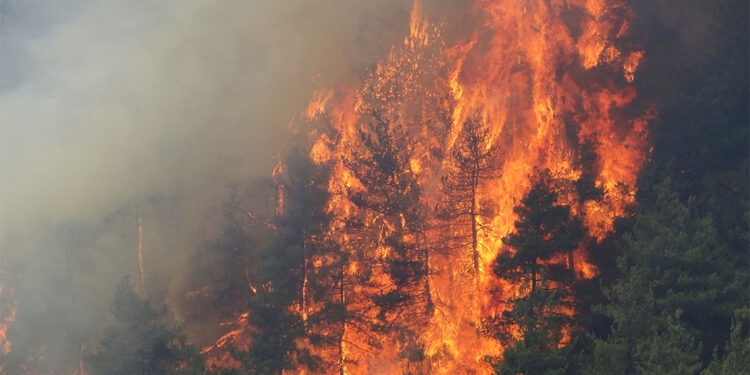 22-27 Temmuz tarihleri arasında çıkan yangınlarla ilgili 3 şüpheli tutuklandı