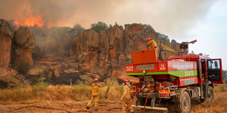 Eskişehir'de çıkan orman yangını tarım alanlarına yaklaştı