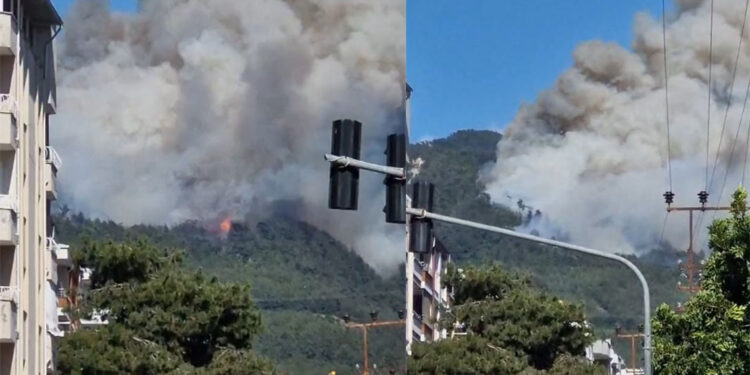 Hatay'ın Dörtyol ilçesinde orman yangını!