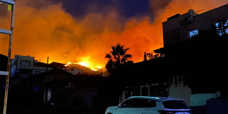 Hatay'daki orman yangınına ilişkin 1 gözaltı