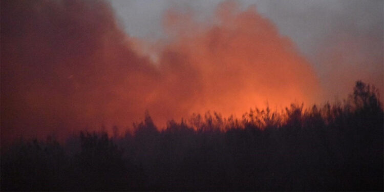 Gediz Elektrik İzmir'deki yangınlarla ilgili açıklama yaptı
