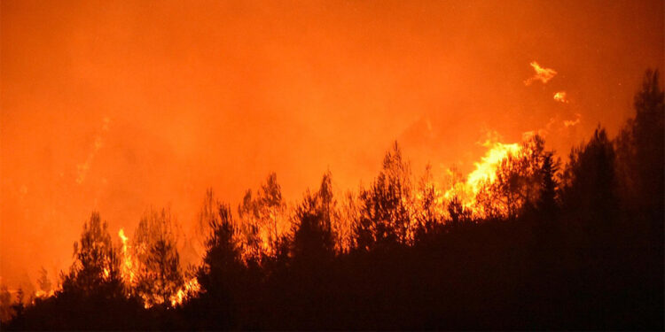 DMM'den orman yangınlarıyla ilgili açıklama