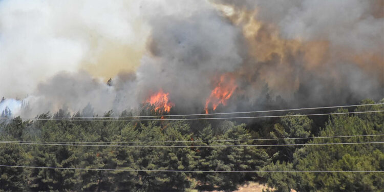 Buca'da ormana yakın evler boşaltılıyor