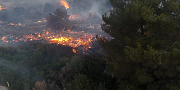 Çeşme'de tarım arazisinde çıkan yangın ormana sıçradı