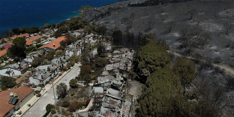 Seferihisar orman yangının ardından küle döndü
