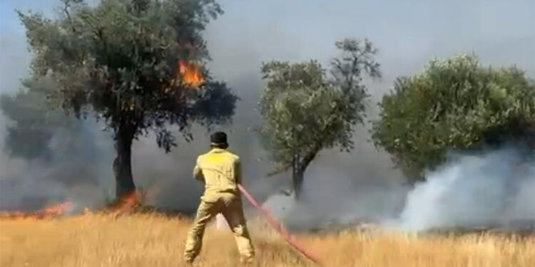 Ülke genelinde çıkan 761 yangının tamamı kontrol altına alındı