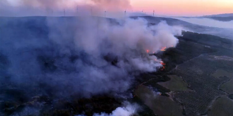 Tekirdağ'daki orman yangını 2'nci gününde