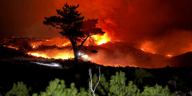 15 bin dönüm ormanın küle döndüğü yangın, kaynak çalışması sırasında çıkmış