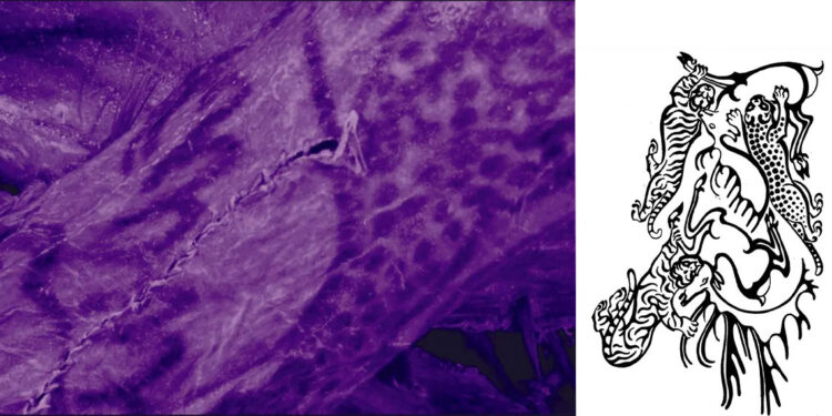 2 bin 500 yıllık mumyada dövme olduğu tespit edildi