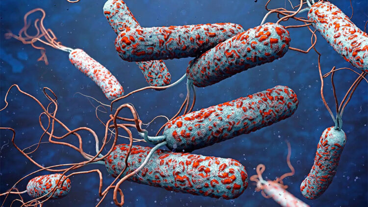 31 ülkede kolera alarmı