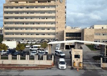 v31 ilde nitelikli dolandırıcılık operasyonu: 102 tutuklama