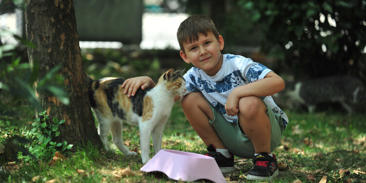 Dorukhan, her gün takipçisi kadar sokak hayvanı besliyor