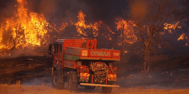 6 ilde orman yangını: Çanakkale'de evler ve araçlar yandı
