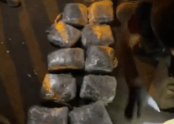 73 ilde uyuşturucu operasyonları: Bin 695 kişi yakalandı