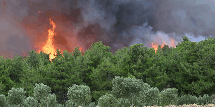 8 ildeki yangınlar kontrol altına alındı