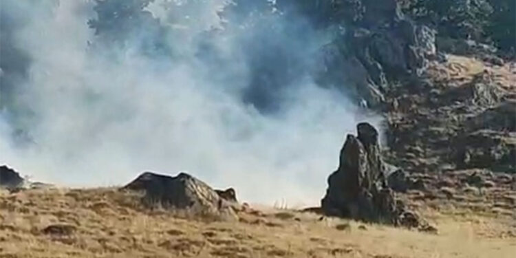 Hasan Dağı eteklerindeki ormanda yangın